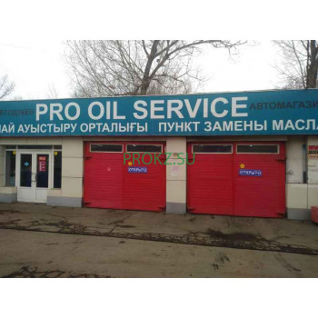 Электроника и электротехника Pro Oil Service - на prokz.su в категории Электроника и электротехника