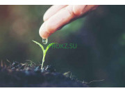 Сельскохозяйственная продукция CemEX Engineering - на prokz.su в категории Сельскохозяйственная продукция