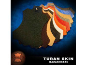Turan skin