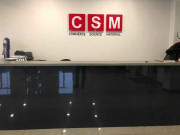 Csm