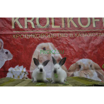 Сельскохозяйственная продукция Krolikoff.kz - на prokz.su в категории Сельскохозяйственная продукция